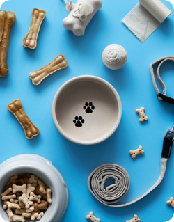 Pet Supplies