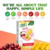 TRUE LEMON Fruit Punch Packets - Low Sugar, No Preservatives Kids Hydration Drink Mix